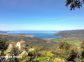 Gite 28221-Viggianello-le-grand-valinco-corse-du-sud-labellisé-gites-de-france la vue Gite 28221-Viggianello-le-grand-valinco-corse-du-sud-labellisé-gites-de-france la vue