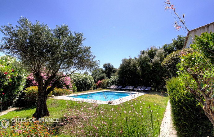 Ferienhaus Nr.60501 MONTEGROSSO - Corse - Le 60501 - G&icirc;te &agrave; Montegrosso, Balagne, Haute-Corse, labellis&eacute; G&icirc;tes de France : le jardin et la piscine