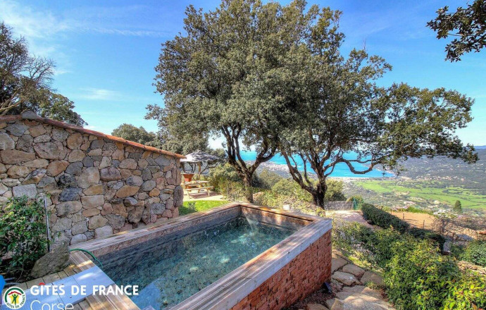Gite 28222-Viggianello-le-grand-valinco-corse-du-sud-labellisé-gites-de-france la piscine Ferienhaus Nr.28222 VIGGIANELLO - Corse - Petru Ghjaseppu - Gite 28222-Viggianello-le-grand-valinco-corse-du-sud-labellisé-gites-de-france la piscine