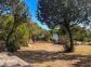 Gîte à Coti Chiavari, Le Grand Ajaccio, Corse du Sud, labellisé Gîtes de France : la propriété Gîte à Coti Chiavari, Le Grand Ajaccio, Corse du Sud, labellisé Gîtes de France : la propriété