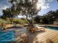 Gîte à Speloncato, Balagne, Haute-Corse, labellisé Gîtes de France : terrasse et piscine Gîte à Speloncato, Balagne, Haute-Corse, labellisé Gîtes de France : terrasse et piscine