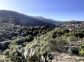 Gîte à San Gavino Di Tenda, Le Grand Bastia, Haute-Corse, labellisé Gîtes de France : la vue Gîte à San Gavino Di Tenda, Le Grand Bastia, Haute-Corse, labellisé Gîtes de France : la vue