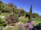 Gite à Sari Solenzara, le Sud Corse, labelisé Gîtes de France : le jardin Gite à Sari Solenzara, le Sud Corse, labelisé Gîtes de France : le jardin