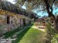 Gite 28222-Viggianello-le-grand-valinco-corse-du-sud-labellisé-gites-de-france la terrasse jardin Gite 28222-Viggianello-le-grand-valinco-corse-du-sud-labellisé-gites-de-france la terrasse jardin