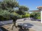 Ferienwohnung - Villa Lucca - FIGARI - Corse