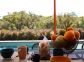 Gîte à Porto-Vecchio, le Sud Corse, labellisé Gîtes de France : la terrasse Gîte à Porto-Vecchio, le Sud Corse, labellisé Gîtes de France : la terrasse