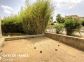 Gîte à Solenzara, Le Sud Corse, Corse du Sud, labellisé Gîtes de France : le terrain de pétanque Gîte à Solenzara, Le Sud Corse, Corse du Sud, labellisé Gîtes de France : le terrain de pétanque