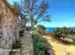 Gite 28222-Viggianello-le-grand-valinco-corse-du-sud-labellis&eacute;-gites-de-france la terrasse
